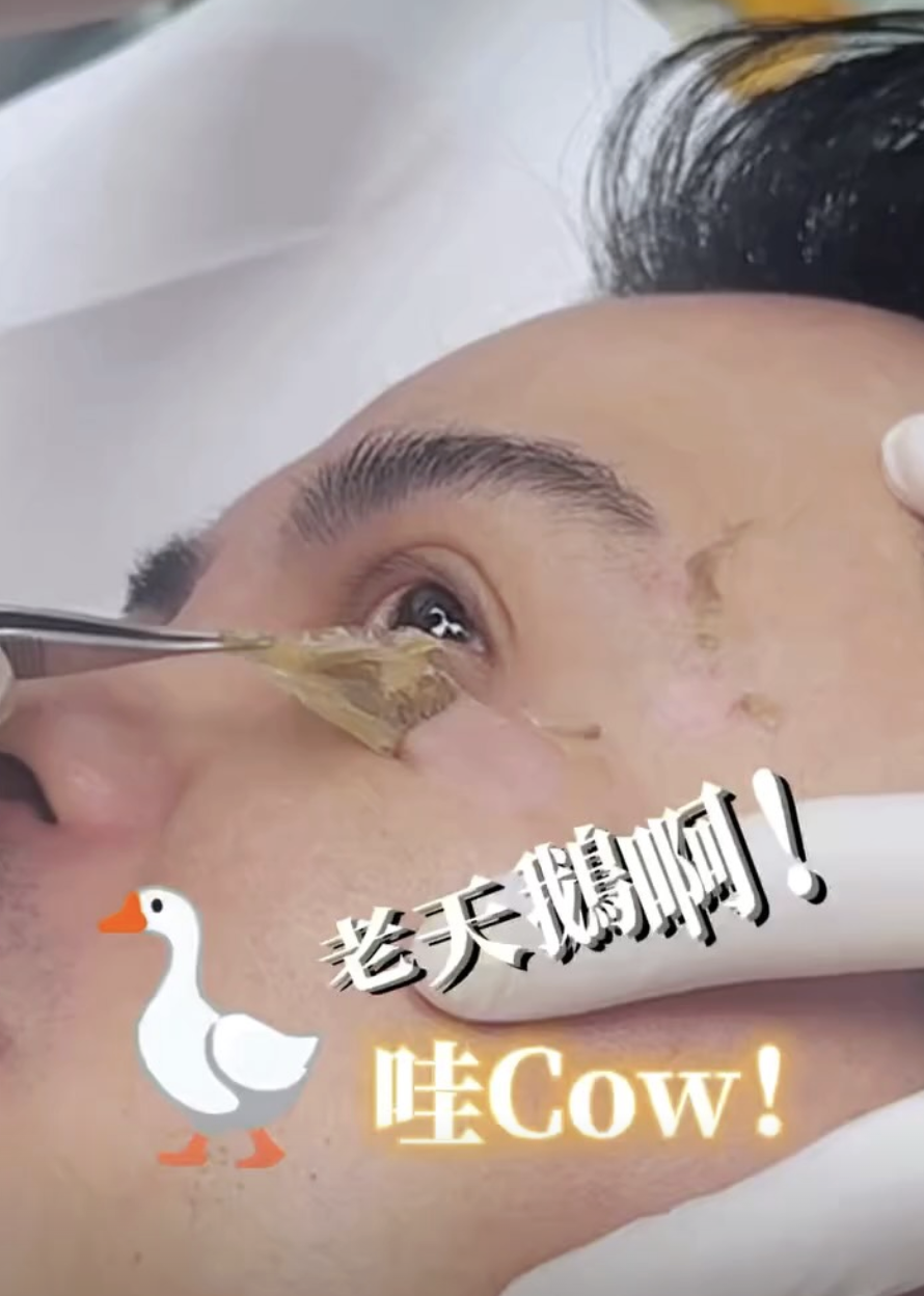 老天鵝真有感！
